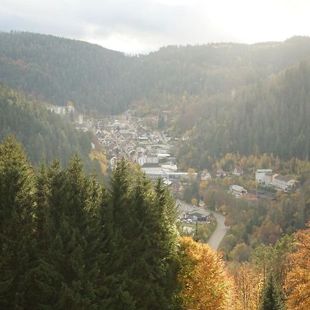 Feissesberghof Lägenhet Triberg im Schwarzwald Exteriör bild