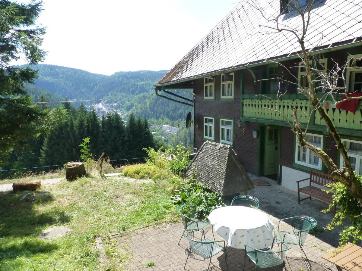 Feissesberghof Lägenhet Triberg im Schwarzwald Exteriör bild