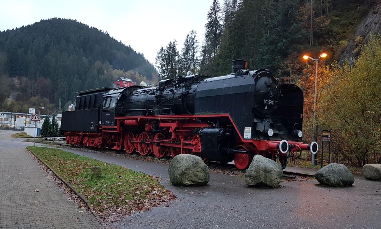 Feissesberghof Lägenhet Triberg im Schwarzwald Exteriör bild