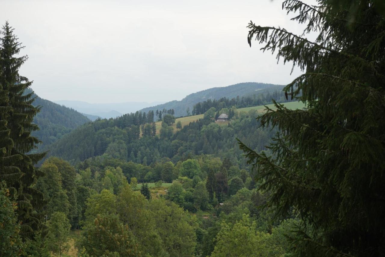 Feissesberghof Lägenhet Triberg im Schwarzwald Exteriör bild