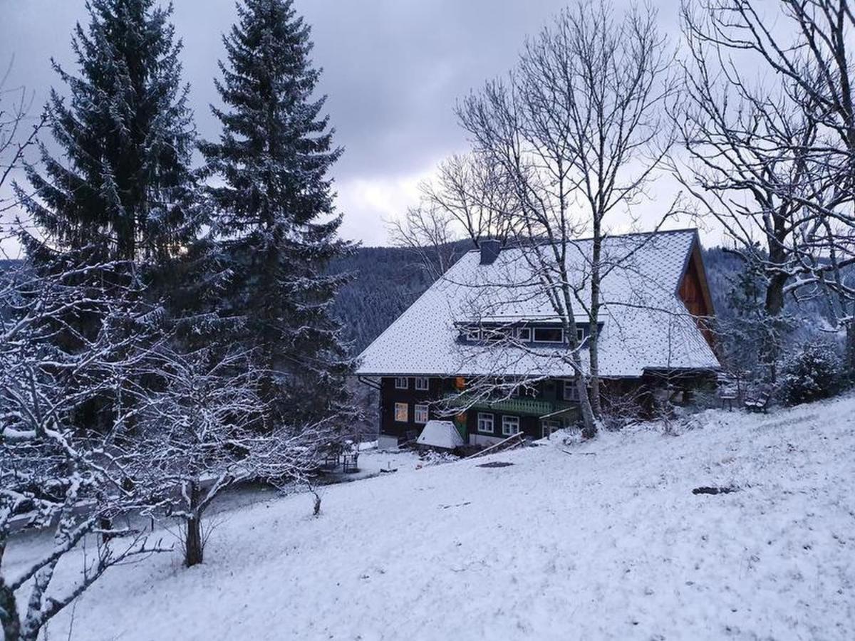 Feissesberghof Lägenhet Triberg im Schwarzwald Exteriör bild