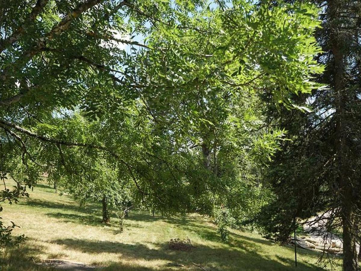 Feissesberghof Lägenhet Triberg im Schwarzwald Exteriör bild